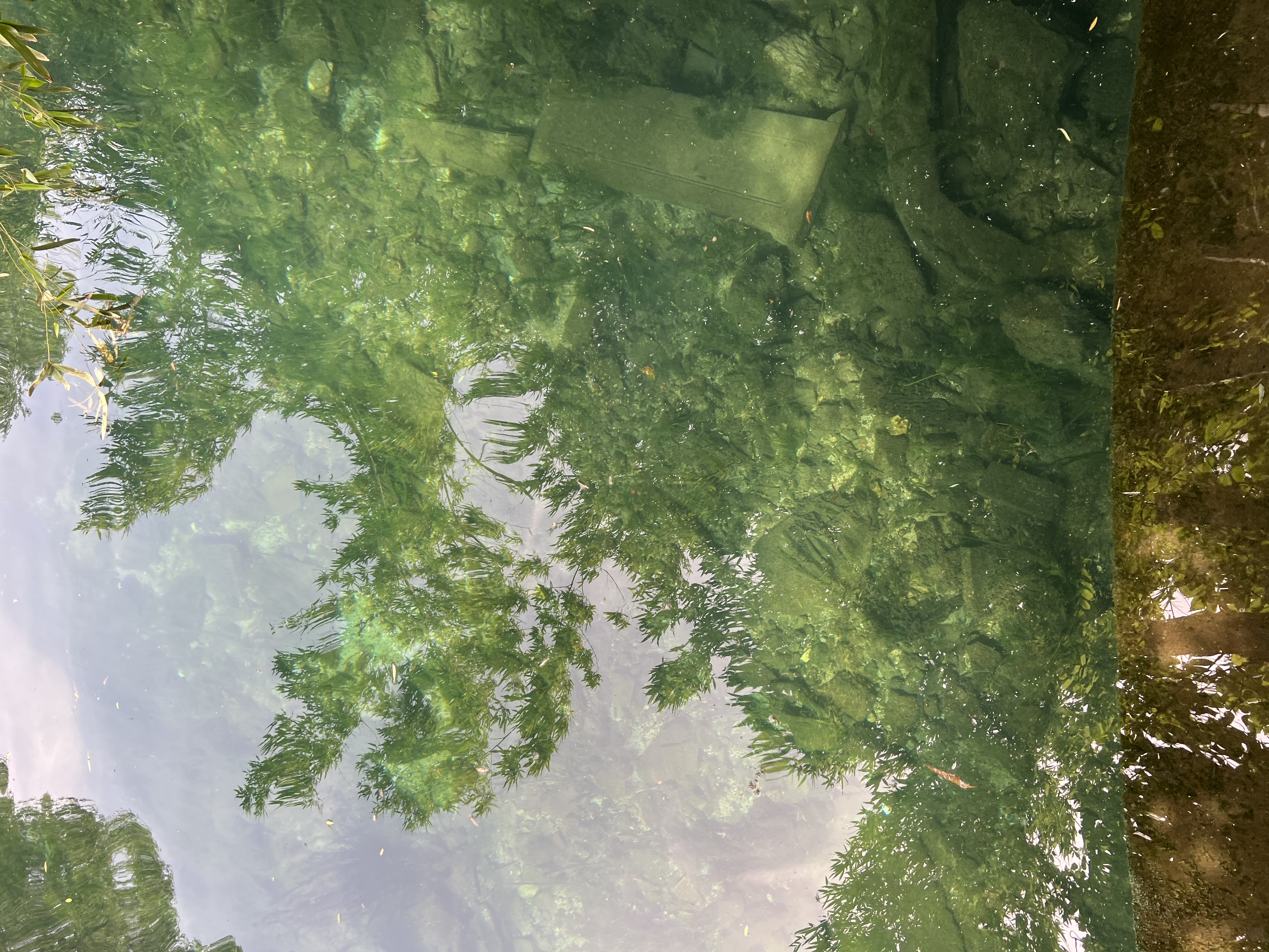 济南护城河漫步｜泉水叮咚，清澈见底